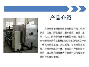 江苏常州石斛花真空冷冻干燥机招商 开启高端干燥设备新篇章